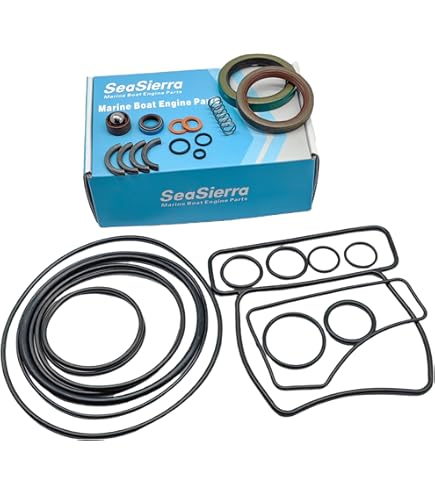 Amazon.com: REPLACEMENTKITS.COM Brand Outdrive Seal Fits