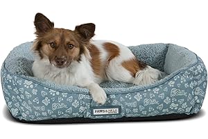 Paws & Pals Dog Bed for Pets & Cats - Printed Lounger with Self Warming Cozy Inner Cushion for Home, Crate & Travel - Small, Blue