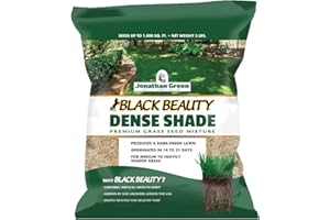 Jonathan Green (10600) Black Beauty Dense Shade Grass Seed - Cool Season Lawn Seed (3 lb)