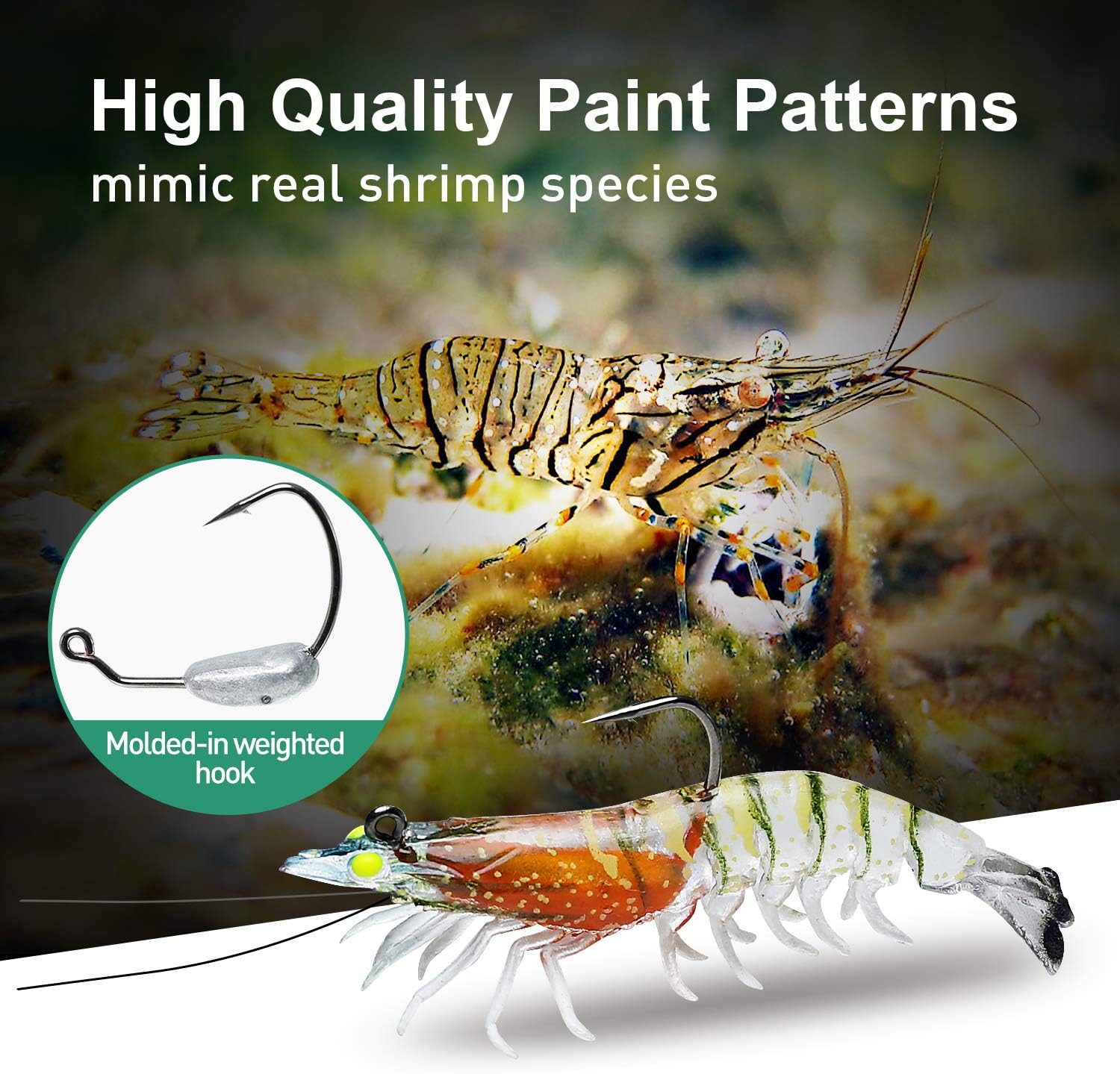 TRUSCEND Fishing Lures for Bass Trout 6PCS Jighead Shrimp Lures Paddle Tail Swimbaits Soft Fishing Baits Freshwater Saltwater Jigging Bass Fishing Lures : Sports & Outdoors