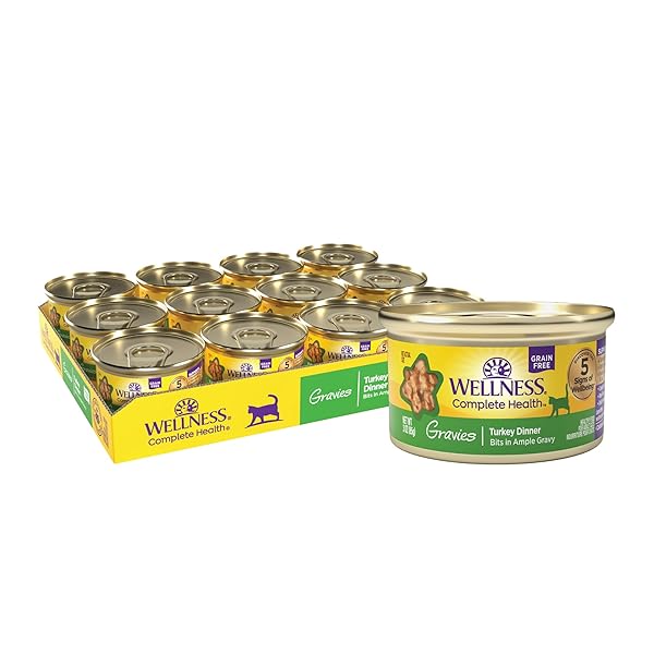 WELLNESS COMPLETE HEALTH GRAVY ADULT WET CAT FOOD, NATURAL, PROTEIN-RICH, GRAIN FREE, 3 OUNCE, 12 PACK, (TURKEY DINNER)