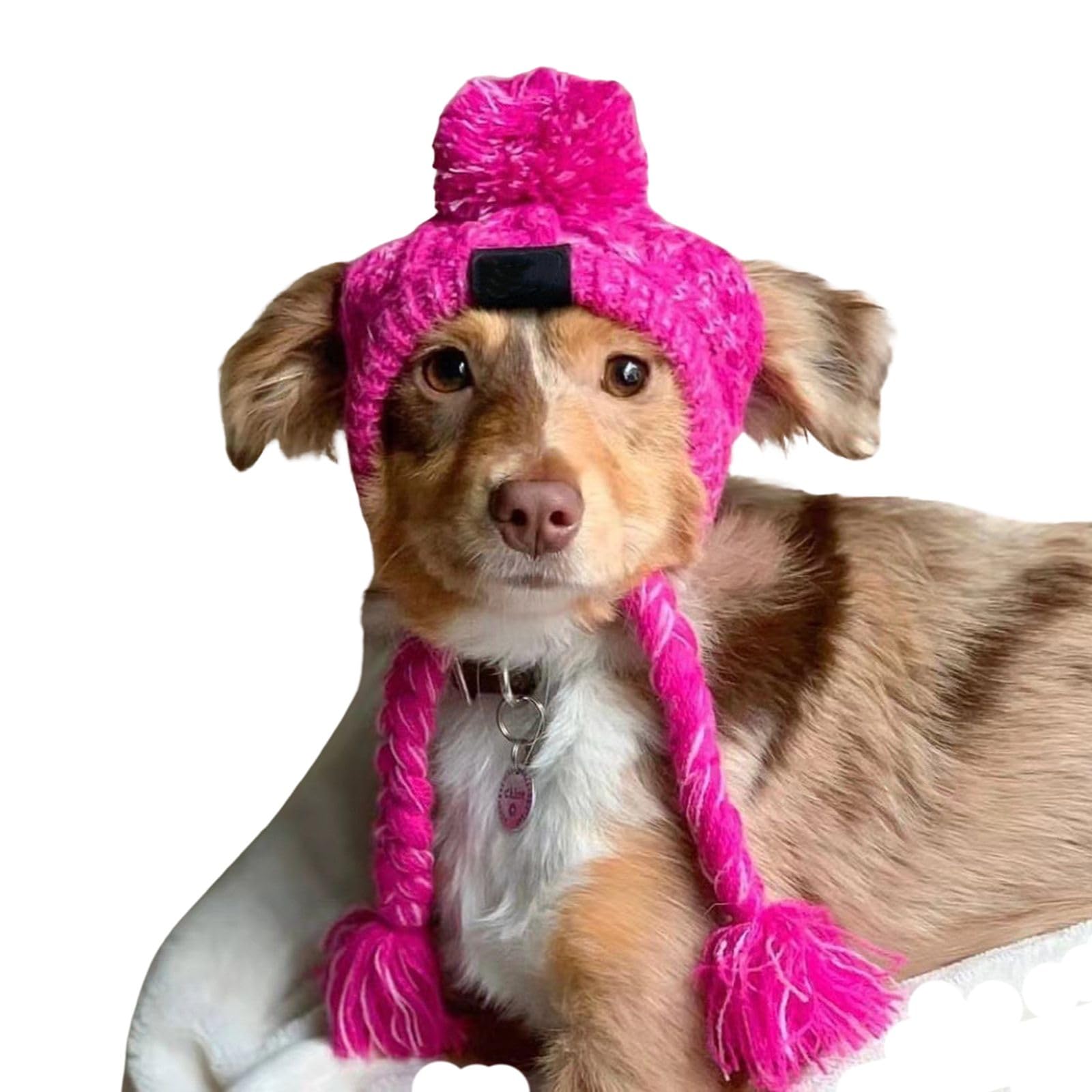 Dreamls Pet Hats, Dog Hats with Ear Holes Warm Winter Cat Knit Caps Windproof Dog Headwear for Puppy Small Medium Dogs (S:Purple)