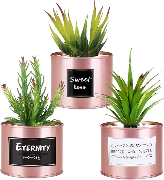 Artificial Plants for Women Office Decor, 3