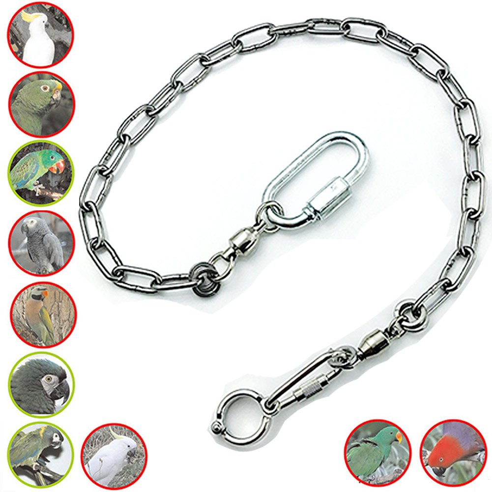 ebamaz Parrot Foot Chain for Small Medium Large Birds Stainless Steel Anklet Ring for Pet Training (NO.12 (11.5mm))
