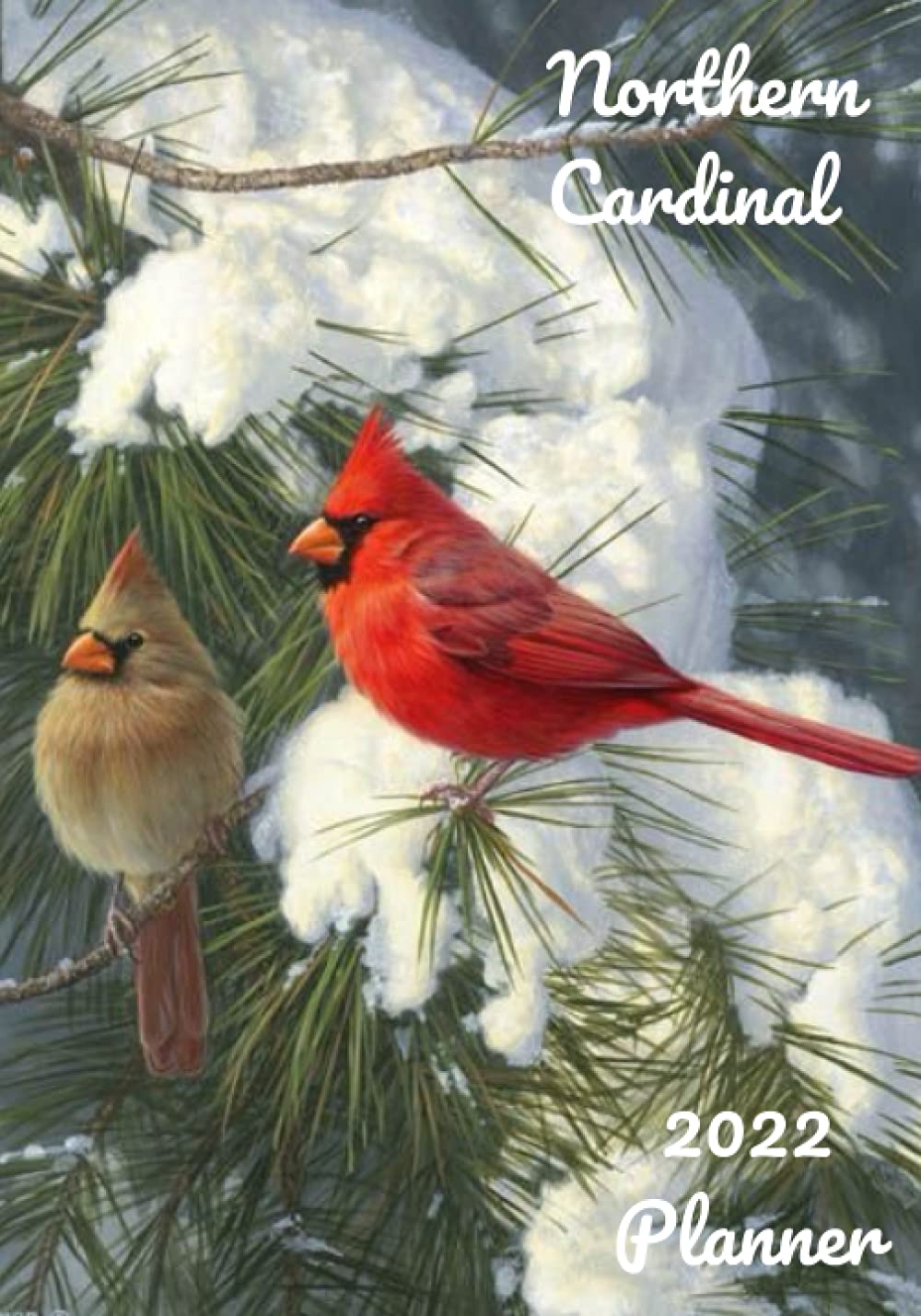 Cardinal Schedule For 2022 Northern Cardinal 2022 Planner: Daily Weekly Planner Calendar Dated 2022  Planner Notes Journal Goals Diary Organizer Schedule Year At A Glance  Vision Board Mission Board Monthly Task Finch Wren Blue Jay Backyard