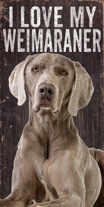 nutrisource puppy food petco