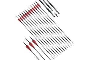 Zyntrek Rolling Fiberglass Arrows, 12pcs 31’’ for Archery Practice Hunting Targeting with Removable Arrowhead and Rotatable N