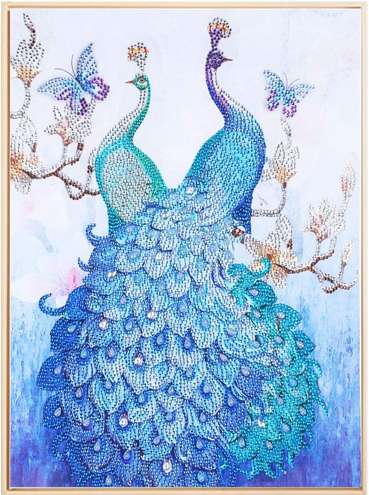 Diamond Painting Kits for Adults Large Size 50x40cm(19.6''x15.7