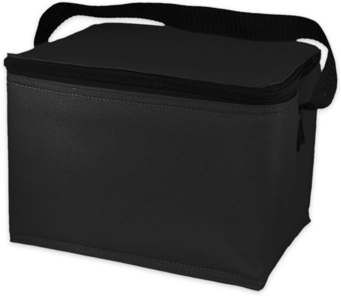 fridge to go insulated lunch box