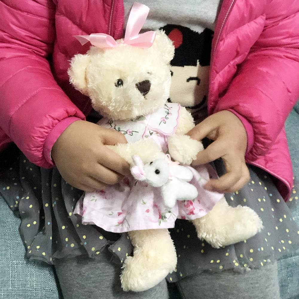 Oitscute Small Baby Teddy Bear with Cloth Cute Stuffed Animal Soft Plush Toy 10" (Pink Dress with Rabbit): Toys & Games