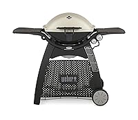 Fire Up Your Summer With These Propane Gas Grill Reviews 7 Weber 57067001 Q 3200 Natural Gas Grill