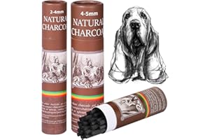 CongGongGo 50 Pcs Willow Charcoal Sticks, Willow Charcoal,Mixed Sizes: 4-5mm, 5-7mm,Professional Soft Black Drawing Charcoal for Sketching & Art