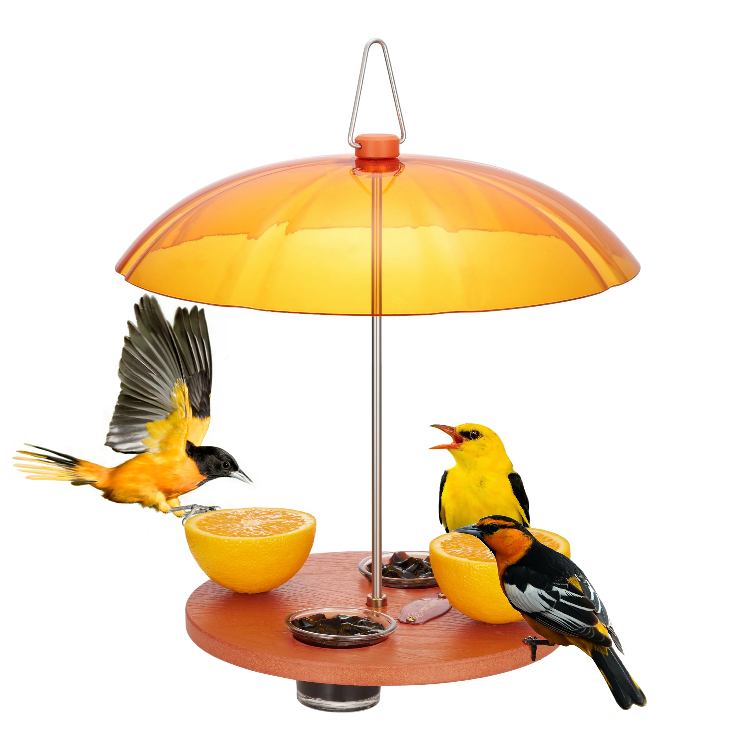 Photo 1 of Kingsyard Oriole Bird Feeders for Outdoors Hanging, Double-Cup Jelly Platform Bird Feeder with Pegs for Orange Halves, Weather Protective Dome, Great for Attracting Orioles