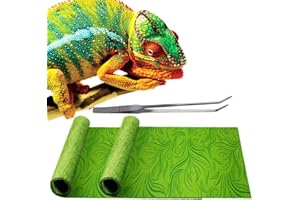 REP BUDDY 2 Pack Rainforest Tropical Reptile Carpet Mat & Reversible Substrate, Terrarium Liner Bedding, for Lizard,Chameleon,Gecko,Snake,Ceratophrys with Tweezers Feeding Tong (40 Gallon(36x18in))