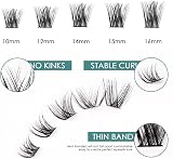 SISILILY Individual Lashes 144 Clusters C D Curl 10-16mm DIY Lashes view 4
