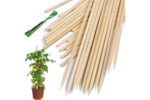 Bamboo Plant Stakes,HAINANSTRY Wood Plant Supports,Natural Bamboo Sticks for Plants/Floral/Potted Plant,Wooden Sign Posting Garden Sticks - 18 Inches 25 Pack