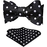 HISDERN Bow Ties for Men Polka Dot Selftie Bowtie and Pocket Square Classic Business Tuxedo Wedding Bowties Handkerchief