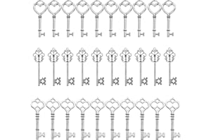 SALOME IDEA 30PCS Assorted Vintage Skeleton Keys (The Juliet Collection, Silver)
