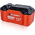 ECO-WORTHY Portable 12V Lithium Battery with DC Output Interface, Built-in BMS, 4000+ Cycles,Perfect for RV Fish Finder Outdo