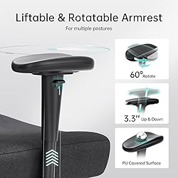 Hbada P3 Ergonnomic Office Chair with 2D Adjustable