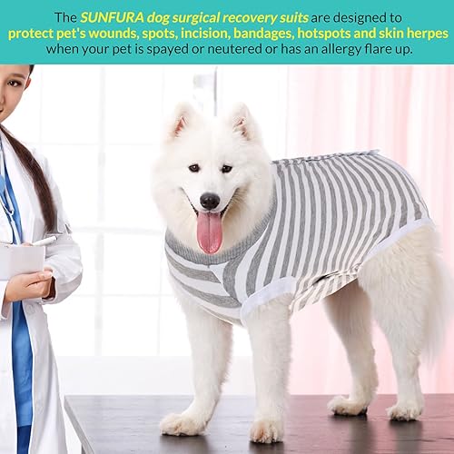 SUNFURA Dog Recovery Suit, Surgery Recovery Suit for Female Dogs
