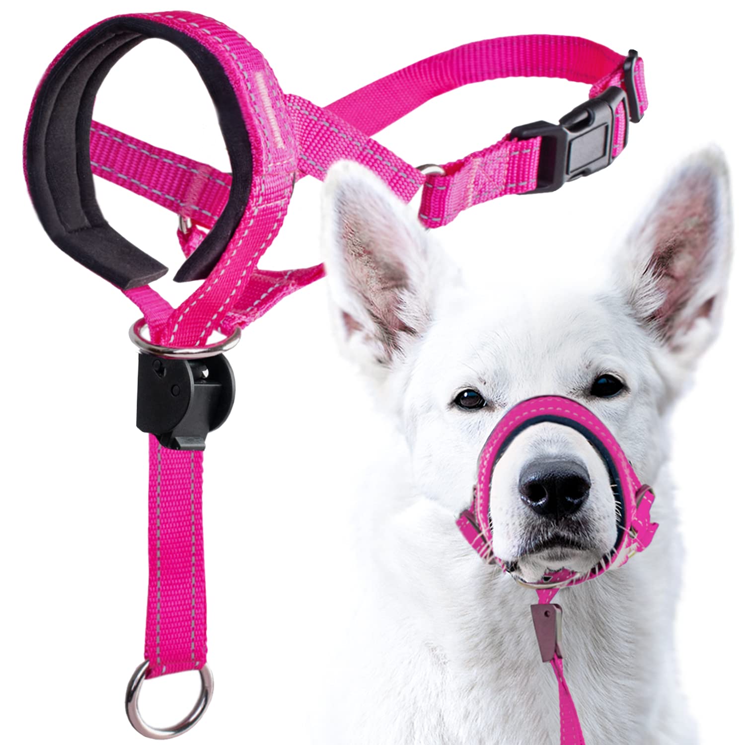 GoodBoy Dog Head Halter with Safety Strap - Stops Heavy Pulling On The Leash - Padded Headcollar for Small Medium and Large Dog Sizes - Head Collar Training Guide Included (Size 1, Pink Nylon)