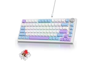 iRoboosta 75% Purple Mechanical Gaming Keyboard, Hot Swap RGB Custom Keyboard with Knob, Gasket Mount Wired TKL Red Switch Ke