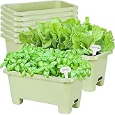 Oliz Self-Watering Rectangle Planter Boxes 8-Pack, 15.7-Inch Window Box Planter with Drainage Holes & Trays, Pots for Vegetab
