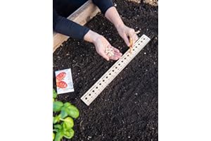Gardener's Supply Company Planting Ruler and Dibber | Wooden Plant Seed Spacing for Outdoor Raised Bed Gardening and Vegetable Gardens | 20-1/2"L and is 2"W x 1/2" Thick