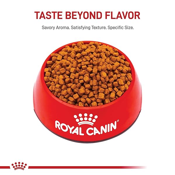 ROYAL CANIN BREED HEALTH NUTRITION POODLE PUPPY DRY DOG FOOD, 2.5 LB BAG