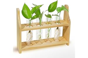 LIQING Plant Propagation Station Glass Container for Plants with Wooden Rack Hydroponic Planter, Small Birthday Gardening Gift for Female Moms and Plant Lovers (XXL)