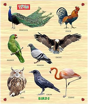 Zitto Premium Wooden Birds Educational Puzzle Toy