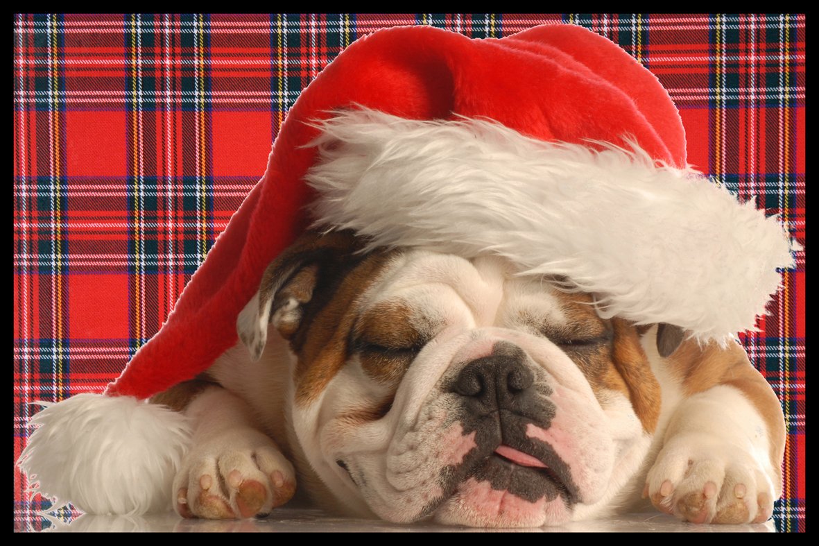 Digital Republic.Com 40011 Door Mat Polyamide PVC Plastic Phthalate-Free