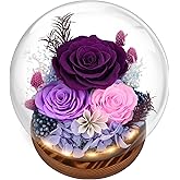 Preserved Flowers Valentines Day Gifts, Gifts for Her, Mom Wife Grandma Girlfriend, Fresh Flowers for Delivery Prime, Real Eternal Rose for Christmas, Birthday, Anniversary, Purple