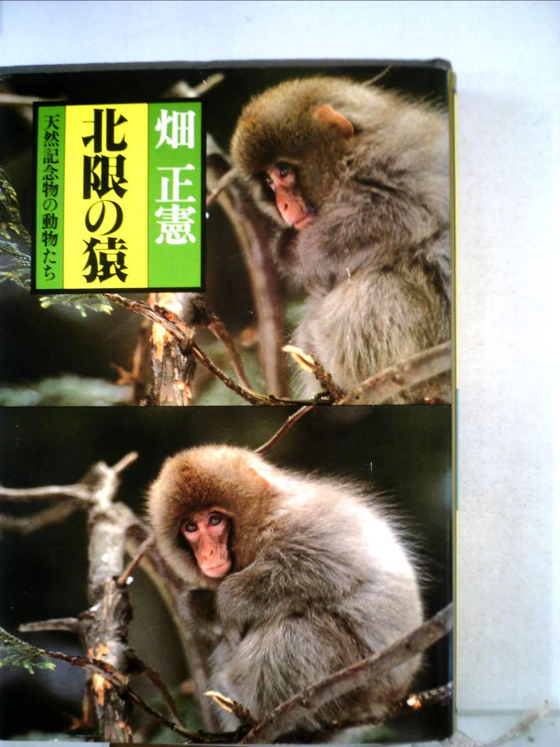 Amazon Co Jp 北限の猿 天然記念物の動物たち 1981年 畑 正憲 Japanese Books