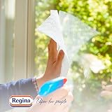 Regina Blitz Casa Paper 5 Rolls 3-Ply Maxi Sheets FSC Certified view 4