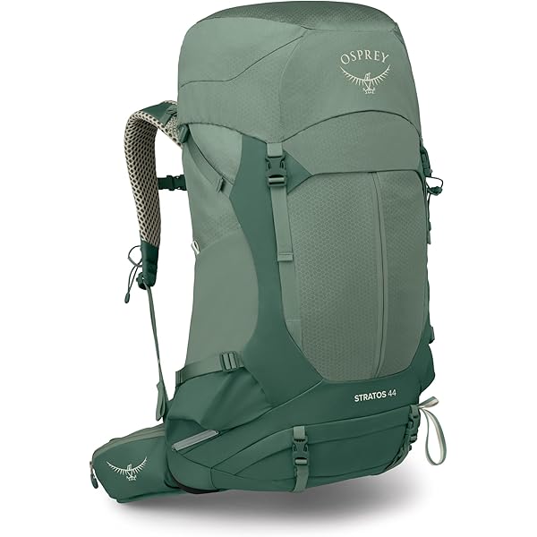Amazon.com : Gregory Mountain Products Denali 10L0 Liter Alpine Backpack :  Sports & Outdoors