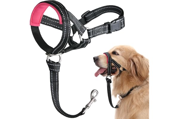 BARKLESS Dog Head Collar, No Pull Training Collar with Soft Padding | Reflective Head Halter for Large Dogs, Labrador, Contro
