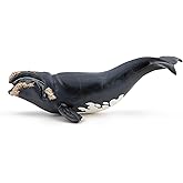 Papo - Realistic Right Whale Figure - Ages 3+ - Marine Life Collection - Educational Play Marine Mammals - Gift Idea Toy for Girls and Boys
