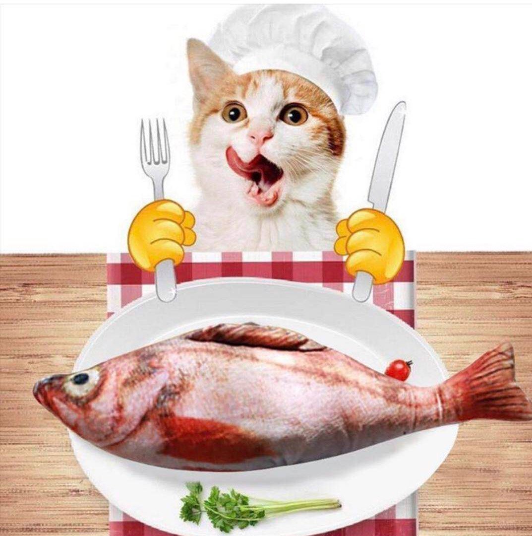 Laifug Red Fish Cat Toy with Catnip