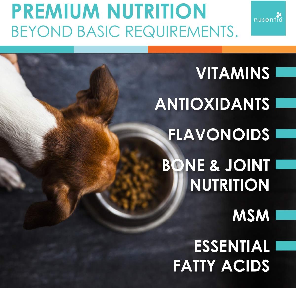 best liquid dog vitamins