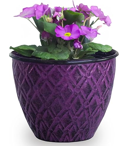 網代花器　六家勝雲作 網代花器 六家勝雲作 Amazon.com: D'vine Dev 8 英吋(約