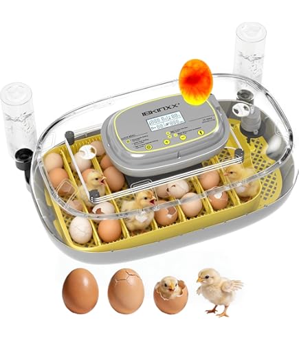 Amazon.com: 18-33 Egg Incubator for Hatching Eggs, Automatic Egg