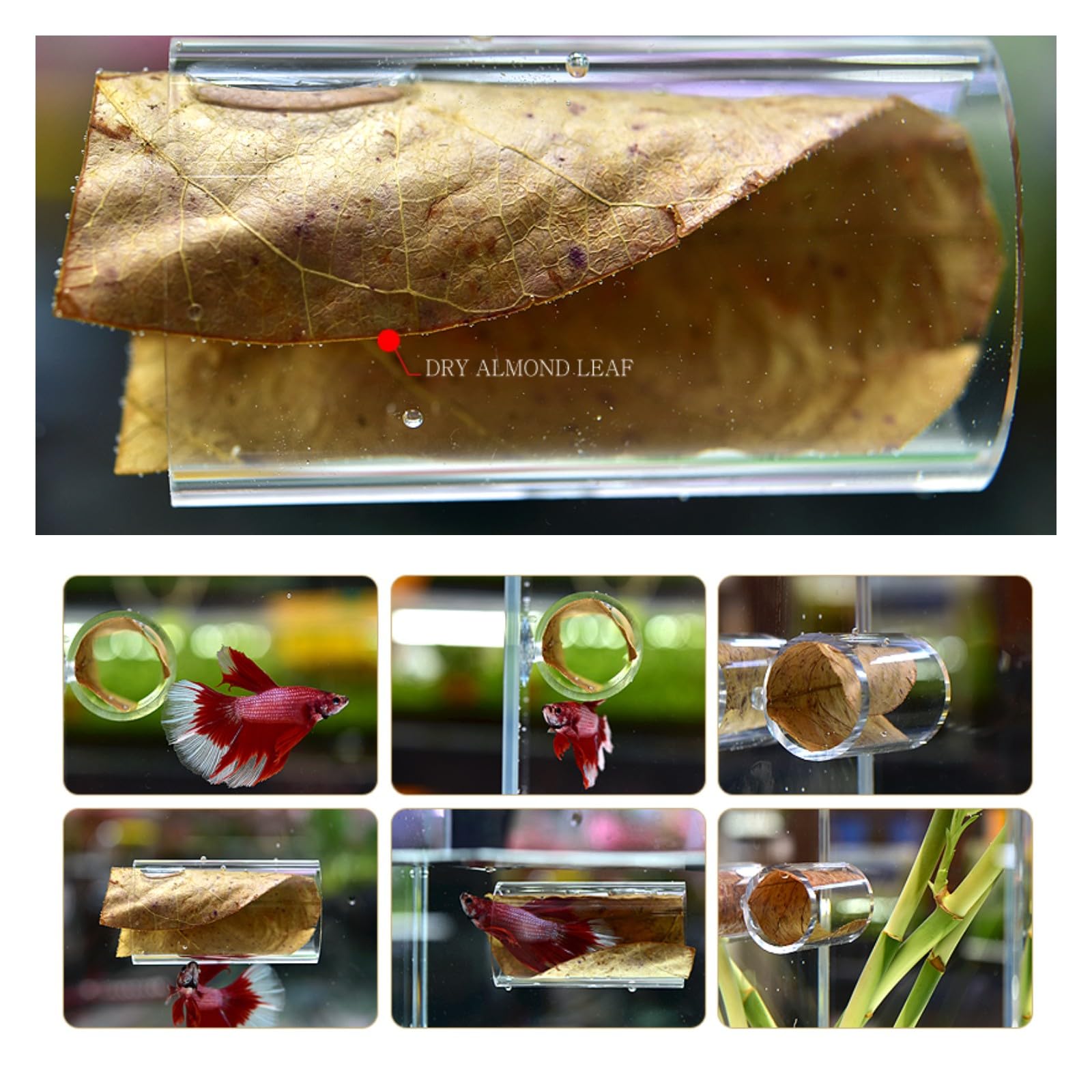 Betta Fish Acrylic Tube Tunnel & Leaf Pad – Transparent Hideaway Shelter For Betta, Shrimp & Cichlids