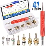 Glarks 41Pcs Schrader Car A/C Valve Core Kit - R12