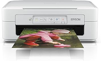 epson x342