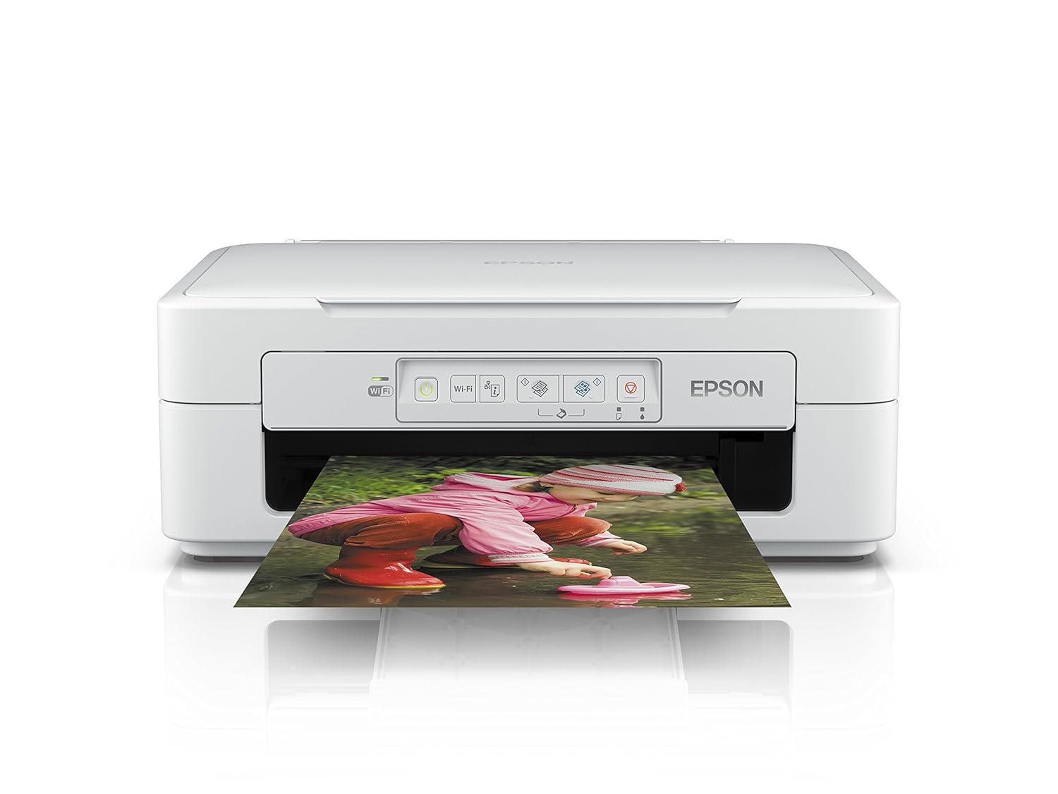 Epson Expression Home XP-247 - -: Amazon.es: Informática