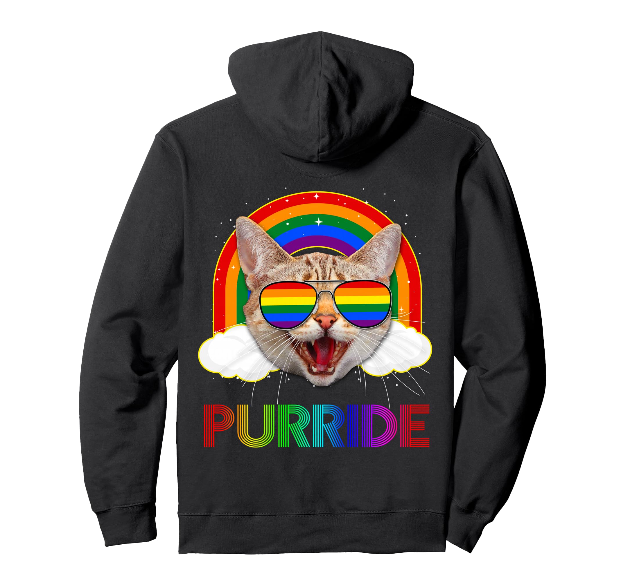 Cat Purride LGBT Rainbow Gay Lesbian Funny LGBT Pride Pullover Hoodie