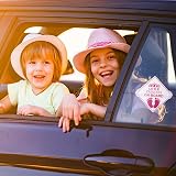 Amabro Little Princess on Board Warning Signs 2pc Pink 5x5in 4 Suction Cups view 7