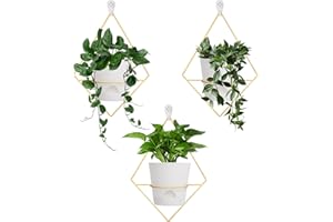 Koalaime 3 Sets Wall Planters for Indoor Plants Geometric Hanging Planters for Indoor Plants - Self-Watering Flower Pots with Black Metal Holder, Mounted Succulent Planter, 5" Black Plant Pot